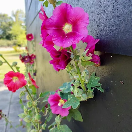 Prázdninový dům Enjoy Intimacy In House In West Jutland