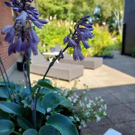 Nyaraló Enjoy Intimacy In House In West Jutland